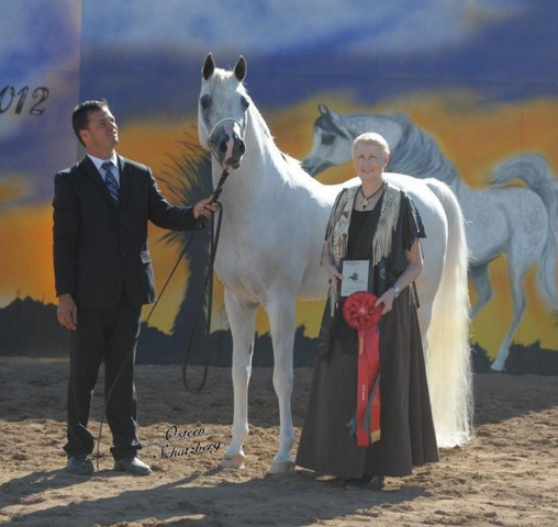 2012 Scottsdale Show | Schatzberg/Osteen