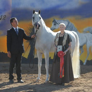 2012 Scottsdale Show | Schatzberg/Osteen