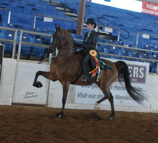 2012 Scottsdale Show | Schatzberg/Osteen