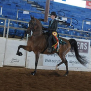 2012 Scottsdale Show | Schatzberg/Osteen