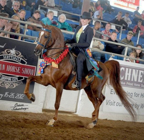 2012 Scottsdale Show | Schatzberg/Osteen