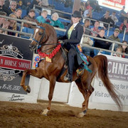 2012 Scottsdale Show | Schatzberg/Osteen