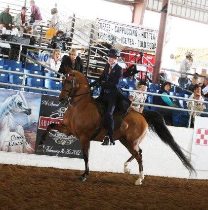 2012 Scottsdale Show | Schatzberg/Osteen