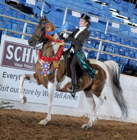 2012 Scottsdale Show | Schatzberg/Osteen