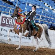 2012 Scottsdale Show | Schatzberg/Osteen