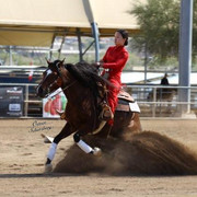 2012 Scottsdale Show | Schatzberg/Osteen