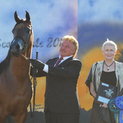 2012 Scottsdale Show | Schatzberg/Osteen