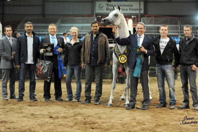 2012 Scottsdale Show | Schatzberg/Osteen