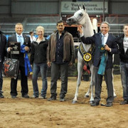 2012 Scottsdale Show | Schatzberg/Osteen