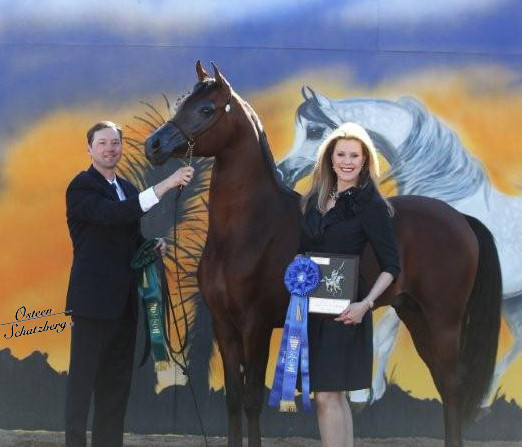 2012 Scottsdale Show | Schatzberg/Osteen