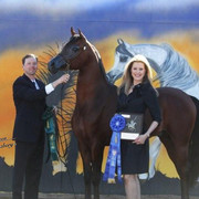 2012 Scottsdale Show | Schatzberg/Osteen
