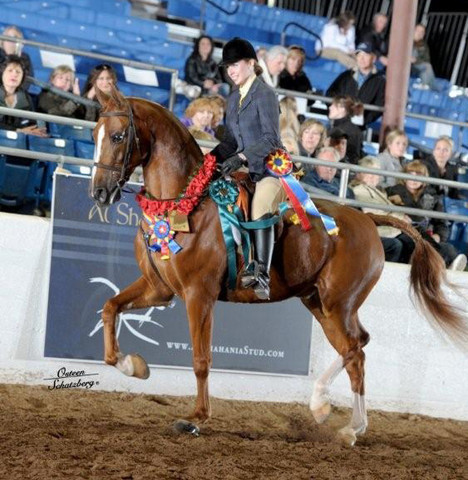 2012 Scottsdale Show | Schatzberg/Osteen
