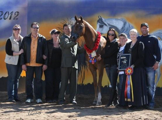 2012 Scottsdale Show | Schatzberg/Osteen