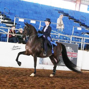 2012 Scottsdale Show | Schatzberg/Osteen