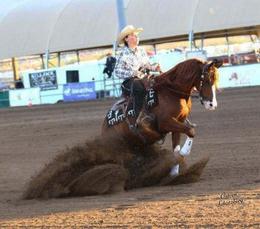 2012 Scottsdale Show | Schatzberg/Osteen