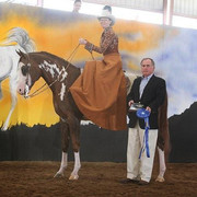 2012 Scottsdale Show | Schatzberg/Osteen