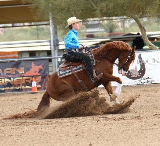 2012 Scottsdale Show | Schatzberg/Osteen