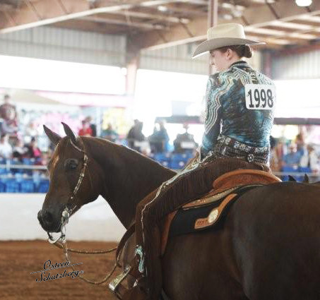 2012 Scottsdale Show | Schatzberg/Osteen