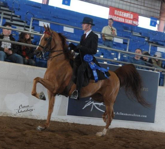 2012 Scottsdale Show | Schatzberg/Osteen