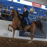 2012 Scottsdale Show | Schatzberg/Osteen