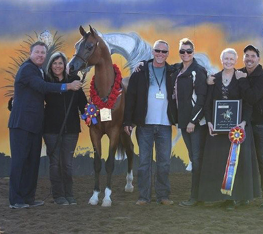 2012 Scottsdale Show | Schatzberg/Osteen