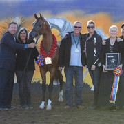 2012 Scottsdale Show | Schatzberg/Osteen