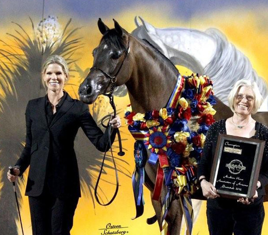 2012 Scottsdale Show | Schatzberg/Osteen