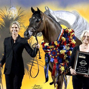 2012 Scottsdale Show | Schatzberg/Osteen