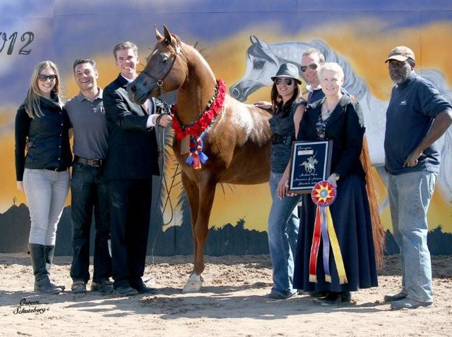 2012 Scottsdale Show | Schatzberg/Osteen