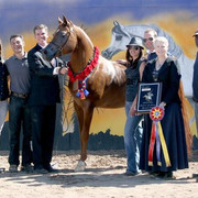 2012 Scottsdale Show | Schatzberg/Osteen