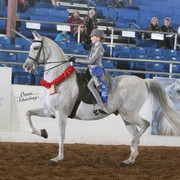 2012 Scottsdale Show | Schatzberg/Osteen