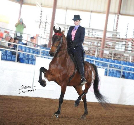 2012 Scottsdale Show | Schatzberg/Osteen