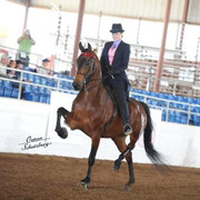 2012 Scottsdale Show | Schatzberg/Osteen