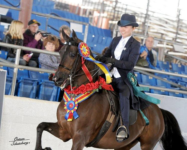 2012 Scottsdale Show | Schatzberg/Osteen