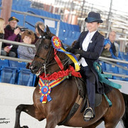 2012 Scottsdale Show | Schatzberg/Osteen
