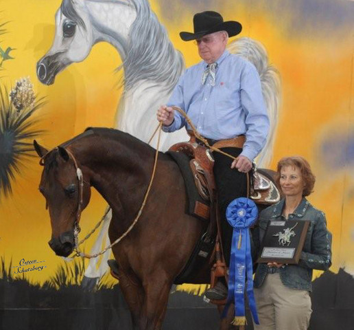2012 Scottsdale Show | Schatzberg/Osteen