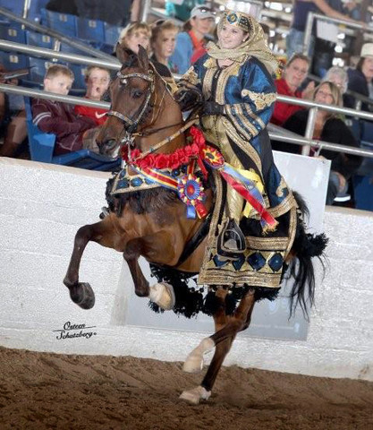 2012 Scottsdale Show | Schatzberg/Osteen