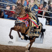 2012 Scottsdale Show | Schatzberg/Osteen