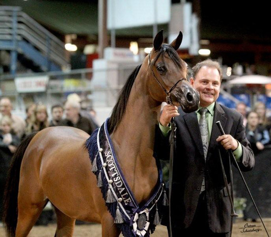 2012 Scottsdale Show | Schatzberg/Osteen
