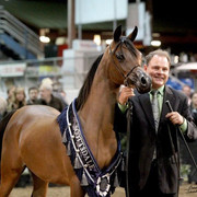 2012 Scottsdale Show | Schatzberg/Osteen