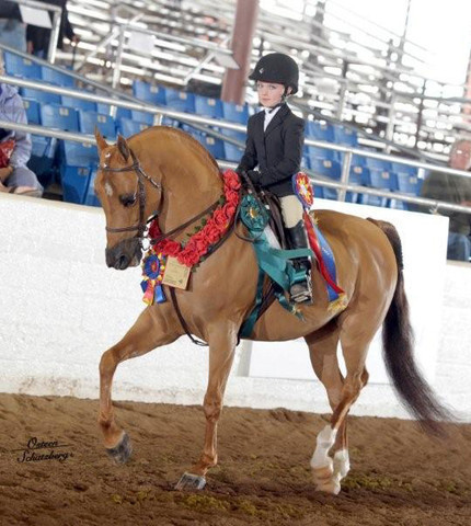 2012 Scottsdale Show | Schatzberg/Osteen