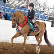2012 Scottsdale Show | Schatzberg/Osteen
