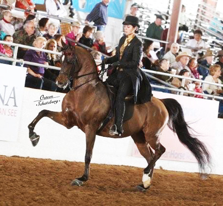 2012 Scottsdale Show | Schatzberg/Osteen