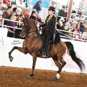 2012 Scottsdale Show | Schatzberg/Osteen