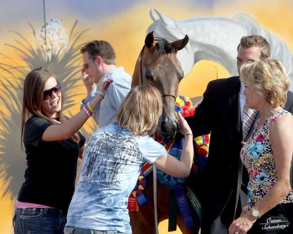 2012 Scottsdale Show | Schatzberg/Osteen