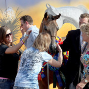 2012 Scottsdale Show | Schatzberg/Osteen