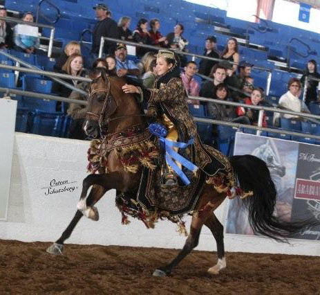 2012 Scottsdale Show | Schatzberg/Osteen