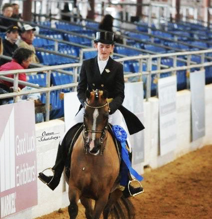 2012 Scottsdale Show | Schatzberg/Osteen