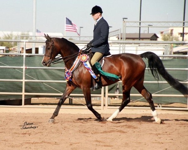 2012 Scottsdale Show | Schatzberg/Osteen