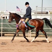 2012 Scottsdale Show | Schatzberg/Osteen